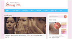 Desktop Screenshot of gudanginfo.net